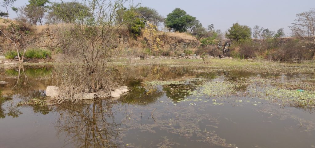 ARAI Hill Quarry